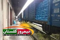 سید صمد ضیائی خبر داد: حمل و نقل نخستین محموله های کود شیمیایی از خطوط ریلی به گلستان