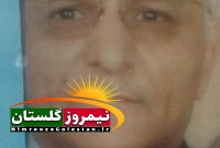 چنگیز سلوکی در نگاه بزرگان