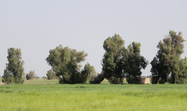 ضرب المثل‌هایی از سرزمین ماسه‌ها و حماسه‌ها