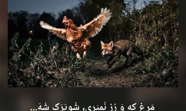 ضرب المثلهایی از گویش سیستانی ضرب المثلهایی از گویش سیستانی